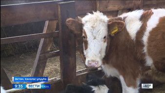 Выпуск "Вести Саха" 04.02.2026 (09:30)