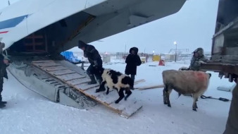 Саха ынаҕын элбэтии