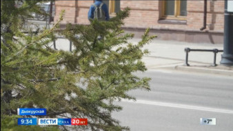 Прогноз погоды в Якутии на 3 июня