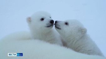 Экология хайысхатыгар грантовай күрэххэ Саха сириттэн 6 бырайыак кыайыыны ситистэ