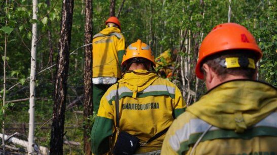 За сутки в Якутии потушили один лесной пожар