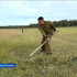 В Мегино-Кангаласском районе Якутии прошёл конкурс по ручной косьбе сена