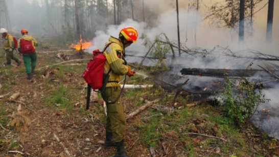 В Якутии лесопожарные формирования работают на 4 природных пожарах
