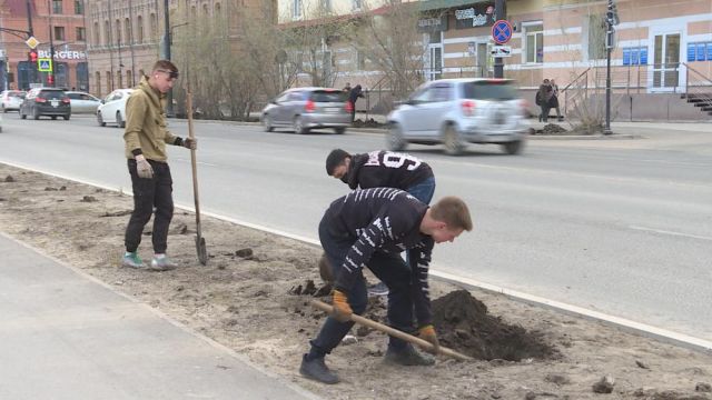 Более 10 тысяч саженцев деревьев высадят в Якутске в рамках нацпроекта "Безопасные качественные дороги"
