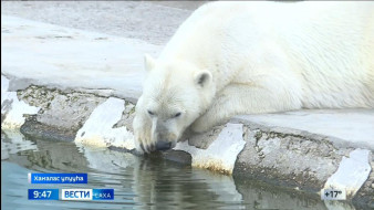 Выпуск "Вести Саха" 23.06.2025 (09:30)