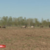 Быйыл халлаан эрдэ сылыйан, дьылбыт эрдэлээтэ