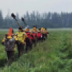 Повышение класса пожарной опасности в лесах прогнозируют в Якутии на границе с Забайкальским краем