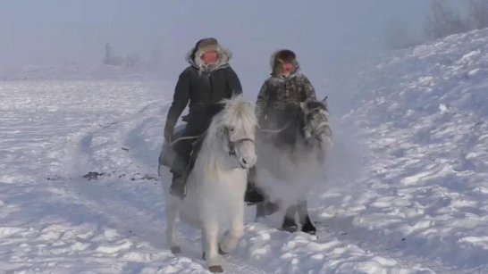 50 видеоработ из Якутии поступило на оценку жюри конкурса "Дальний Восток — Земля приключений"