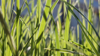 Прогноз погоды в Якутии на 28 июля