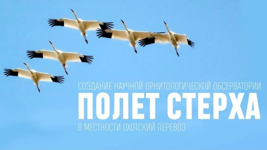 В Якутии разработали три маршрута автоэкспедиций к орнитологической обсерватории "Полет Стерха"