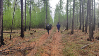 В Чурапчинском районе возобновлены поиски потерявшейся женщины