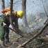 Количество лесных пожаров в Якутии значительно сократилось