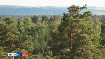 В Якутии с начала пожароопасного сезона ликвидировано 263 природных пожара