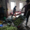 Томаты, огурцы, тыквы и кабачки. В Хангаласском районе приступили к сбору урожая