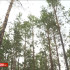 С начала пожароопасного сезона в Якутии ликвидирован 161 лесной пожар
