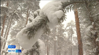 Выпуск "Вести Саха" 13.12.2025 (14:30)