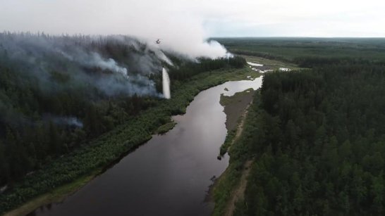 Свыше 2,5 млрд рублей будет направлено на охрану лесов в Якутии от пожаров