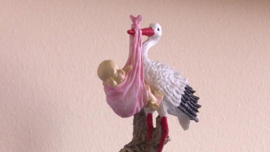 В Якутии стартовала неделя ответственного отношения к беременности