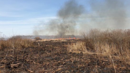 В Якутии предусмотрены выплаты за выявление виновных в лесном пожаре