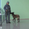 В Якутске впервые состоялся Кубок по многоборью среди кинологов правоохранительных органов