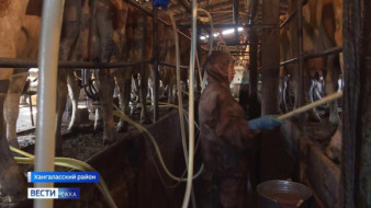 Более 2,6 млрд рублей доведено муниципалитетам Якутии на поддержку заготовки молока