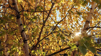 Прогноз погоды в Якутии на 14 сентября