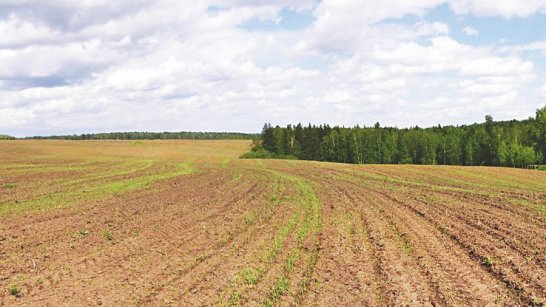 ​ ​В Якутии в 2022 году восстановлено около 1500 гектаров пашен и сенокосных угодий