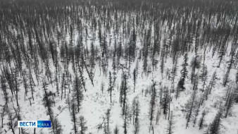 Сыллата кыыл таба таһаарар хоромньутун аччатыыны торумнууллар