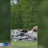 Эһэни хааччаҕа суох бултууру туруорсаллар