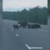 Тыатааҕы дьонноох сиргэ тахсыыта эмиэ элбээтэ