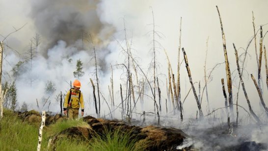 Площадь пройденная огнем от лесных пожаров в Якутии меньше в 30 раз в сравнении с 2021 годом