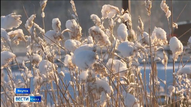 Прогноз погоды в Якутске на 30 ноября