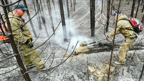 В Якутии за прошедшие сутки ликвидировано 20 лесных пожаров