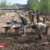 В Якутске возобновили масштабные археологические раскопки на улице Каландаришвили