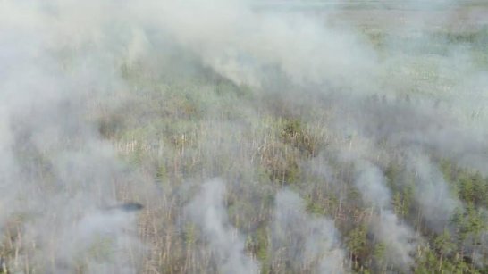Высокий класс пожарной опасности прогнозируют в ряде районов Якутии в мае