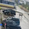 В Олёкминске лошадь на высокой скорости врезалась в припаркованный автомобиль
