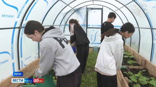 Более 1600 учащихся трудоустроили во время каникул в Якутии