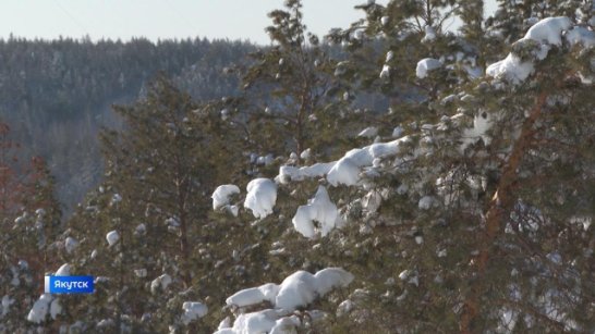 В субботу на большей части Якутии ожидается небольшой снег и до -40 градусов