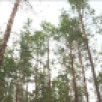 В Якутии за прошедшие сутки ликвидировано 3 лесных пожара