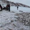 Быйыл күндүөбэй муораттан хойутаан киирдэ