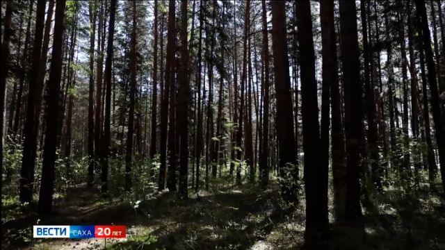 Прогноз погоды в Якутии на 16 июня