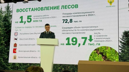 Вклад Якутии в восстановлении лесов отметили на Всероссийском совещании "Леса России"