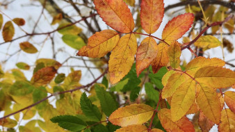 Прогноз погоды в Якутии на 22 сентября