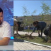 Евгений Григорьев: в городе Якутске мы перешли на профессиональный подход к озеленению
