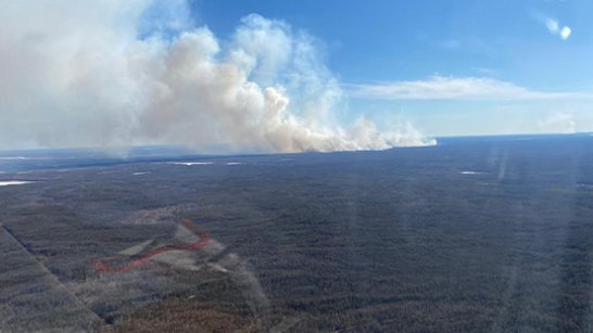 В Якутии тушат 84 лесных пожара