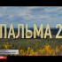 В прокат вышел фильм Пальма-2. Семейное кино о любви и приключениях вновь на больших экранах