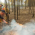 На территории Якутии действует 112 природных пожаро
