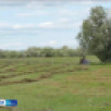 Выпуск "Вести Саха" 20.07.2026 (09:30)
