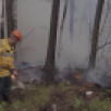 11 лесных пожаров потушено за сутки на территории Якутии