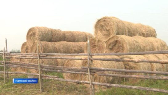 В Якутии подвели итоги кормозаготовки 2025 года